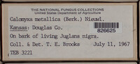 Image Associated With the Occurence